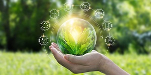 Hands protecting globe of green tree on tropical nature summer background, Ecology and Environment concept, Hands protecting globe of green tree on tropical nature summer b 
Hands protecting globe of green tree on tropical nature summer background, Ecology and Environment concept